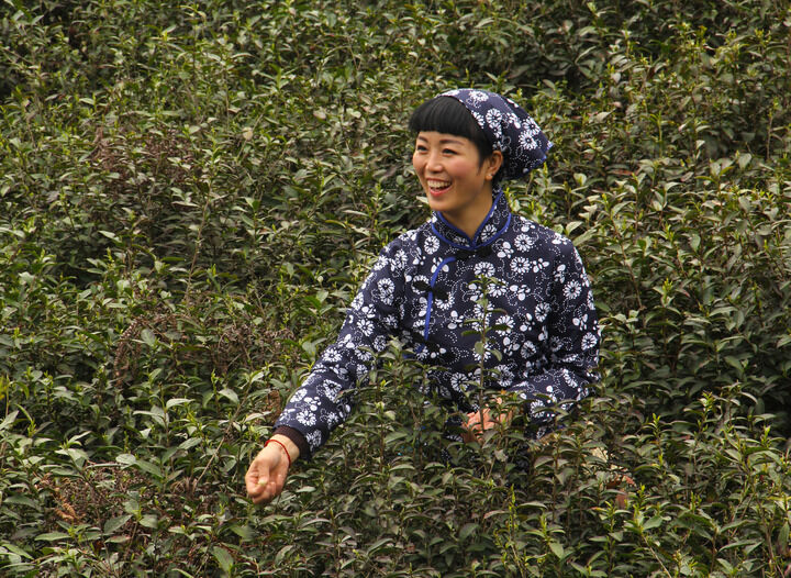 禁忌之笼